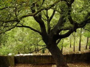 Rutas fotográficas en Castellón: dónde capturar las mejores vistas