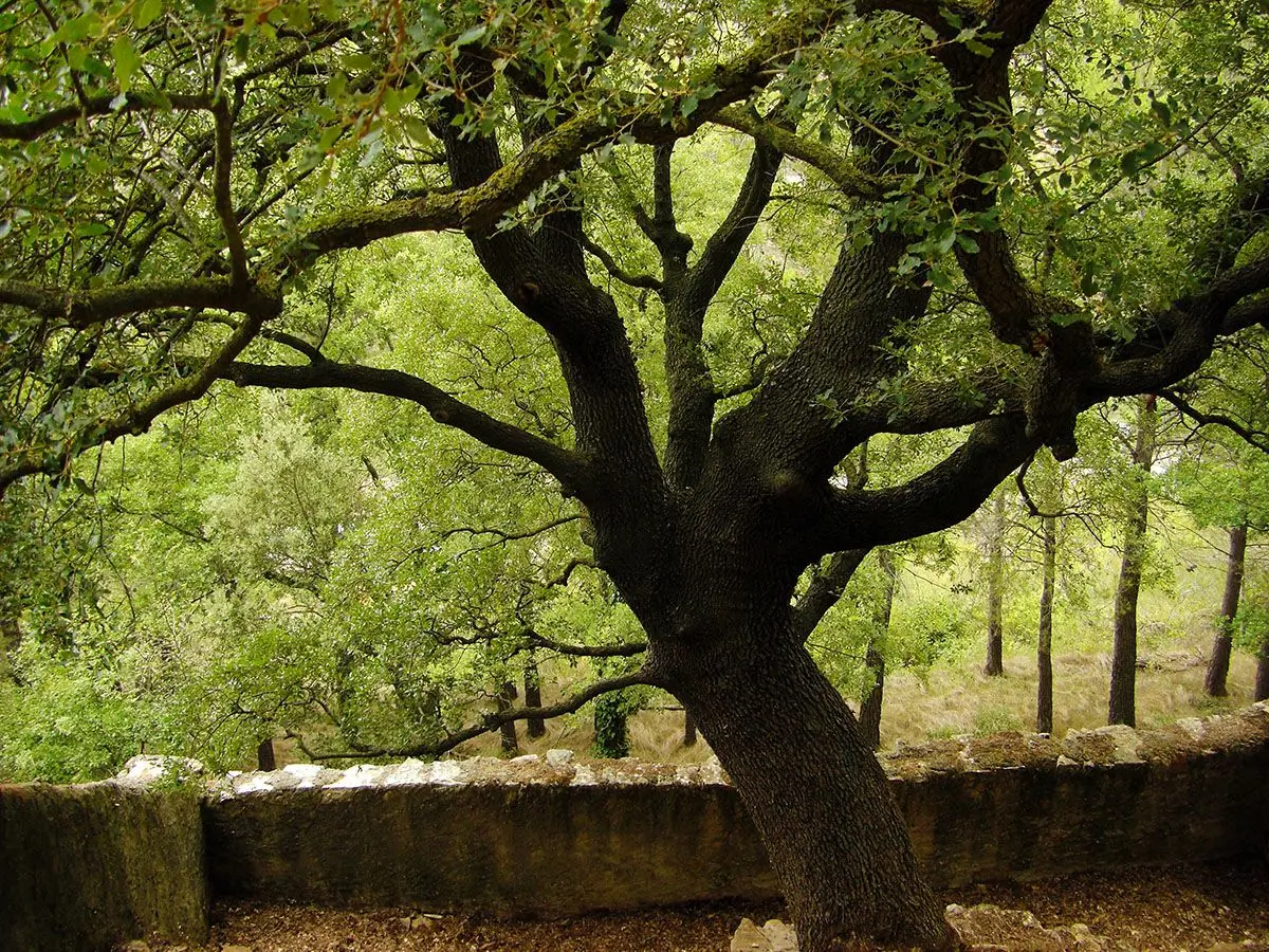 Rutas fotográficas en Castellón: dónde capturar las mejores vistas