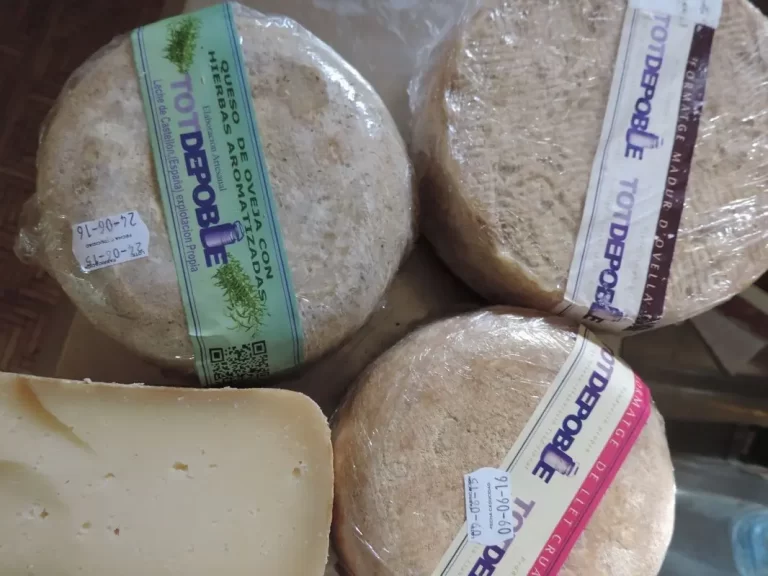 Descubre los quesos artesanales de Castellón