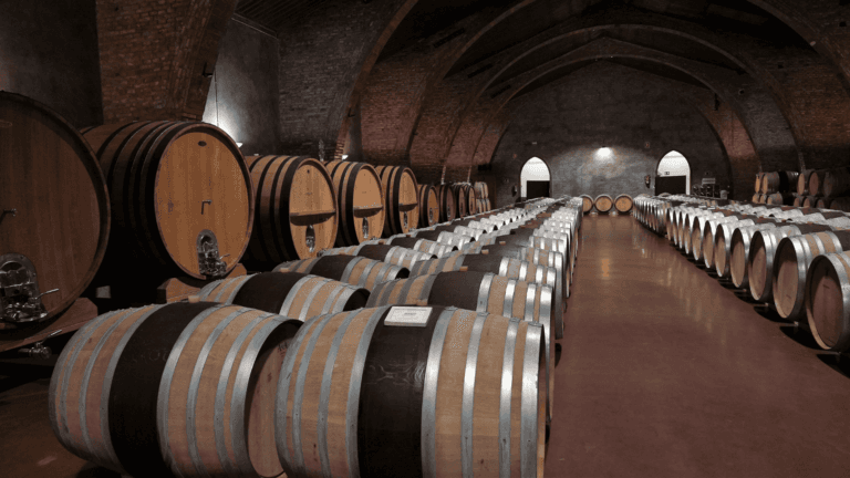 Los mejores vinos de Castellón: una guía para amantes