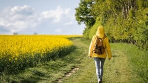 Turismo rural sostenible en  Castellón: cómo practicarlo