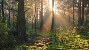 Consejos para disfrutar de un fin de semana rural